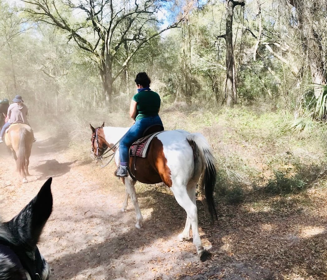 Cactus Jack's Trail Rides & Farm Tours 5